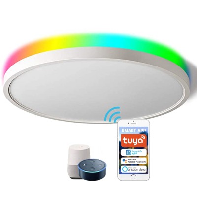 GL (CP-W2) Smart LED Flush Mount Ceiling Light （Front Lighting 3000K-6500K+ Back Light RGB ) -Control By WIFI APP & Vioce Contorl -Work with Amazon Alexa, Google Assistant -12'' 300mm 24W -16'' 400mm 28W -100-240V -ETL cETL 