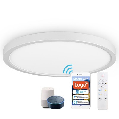 GL (CP-W1) Smart LED Flush Mount Ceiling Light -Color Temperature Dimmbale -Control by 2.4G Remote or WIFI APP & Vioce Contorl -Work with Amazon Alexa, Google Assistant -12'' 300mm 24W -100-240V -ETL cETL 